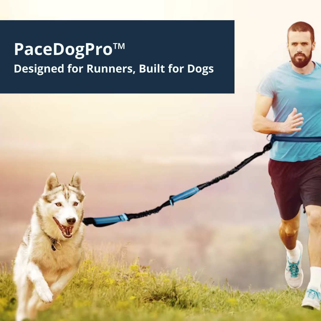 PaceDogPro™ (Copy)
