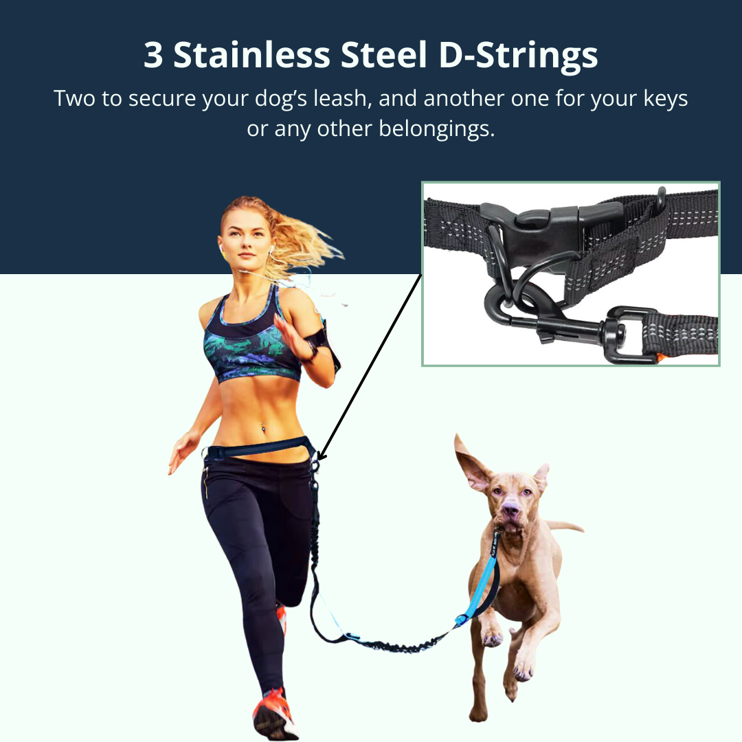 PaceDogPro™ (Copy)