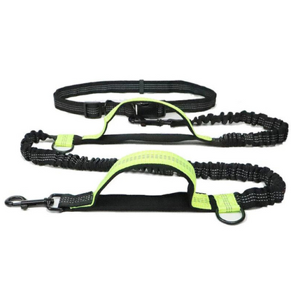 PaceDogPro™ (Copy)